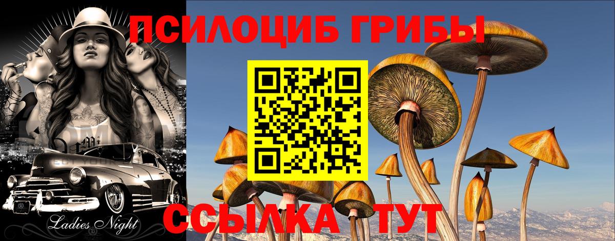 Галлюциногенные грибы MAGIC MUSHROOMS Москва